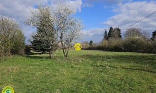 Photo N° 5