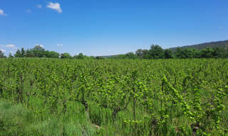 Terrain  8600 m² à vendre à Cannes-et-Clairan (30260)