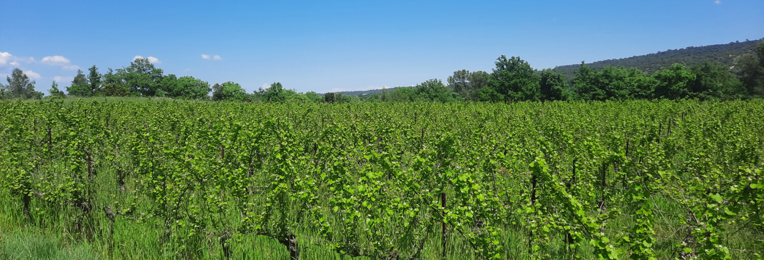 Terrain  8600 m² à vendre à Cannes-et-Clairan (30260)