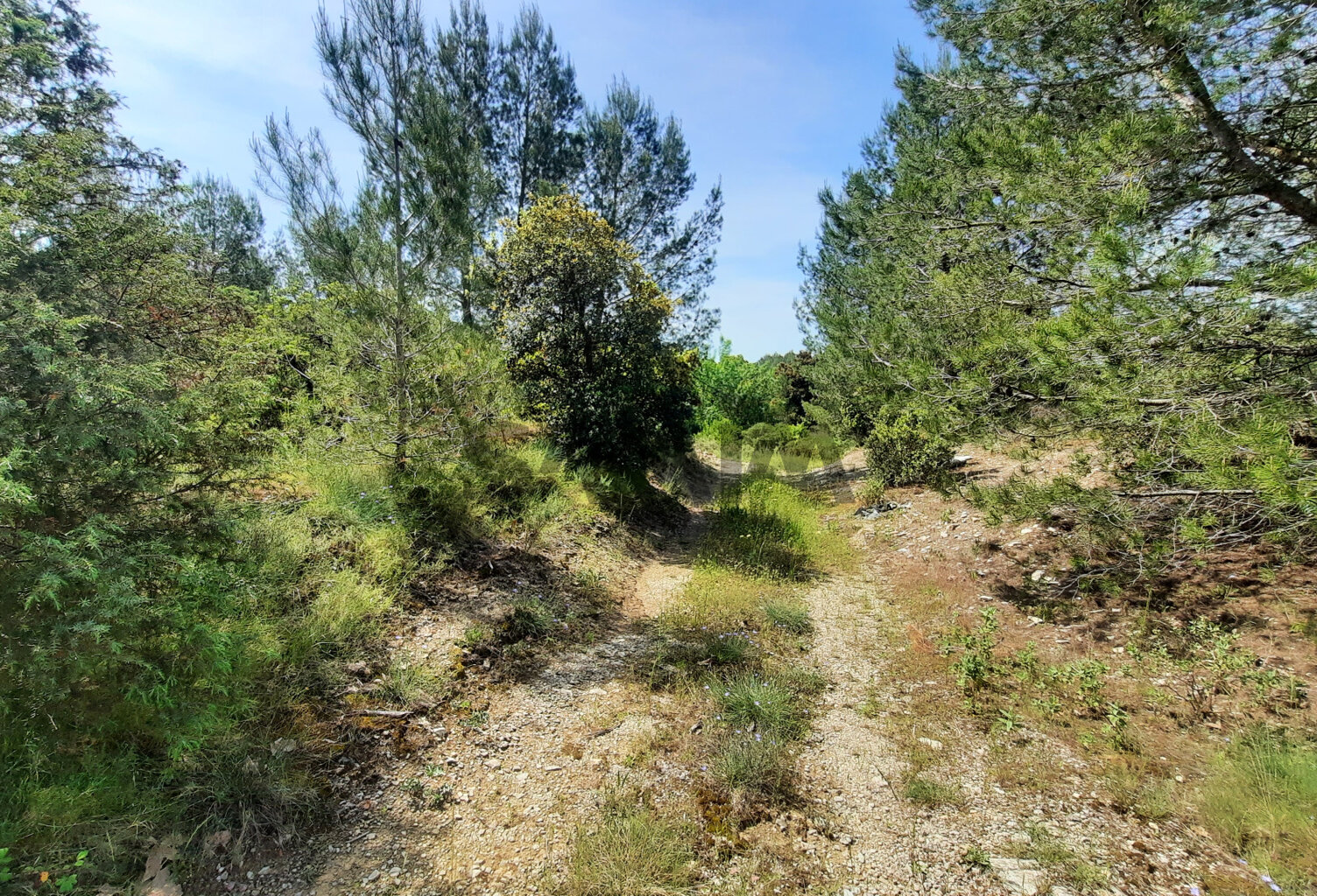 À VENDRE - TERRAIN DE LOISIR - MONTMIRAT — photo 1