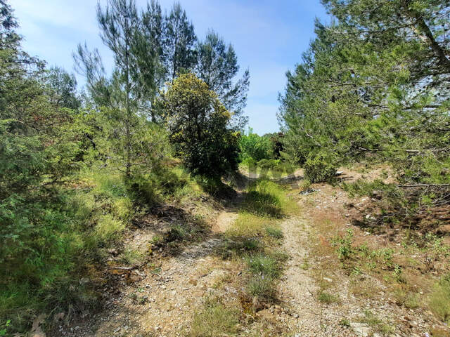 À VENDRE - TERRAIN DE LOISIR - MONTMIRAT — photo du bien