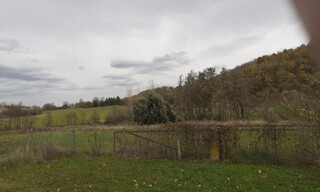 Photo N° 4