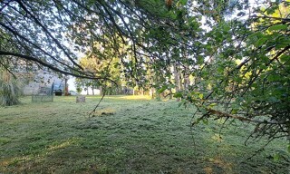 Photo N° 5