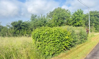Terrain  1590 m² à vendre à Brabant-le-Roi (55800)