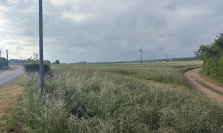 Photo N° 3