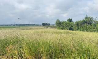 Terrain  1590 m² à vendre à Brabant-le-Roi (55800)