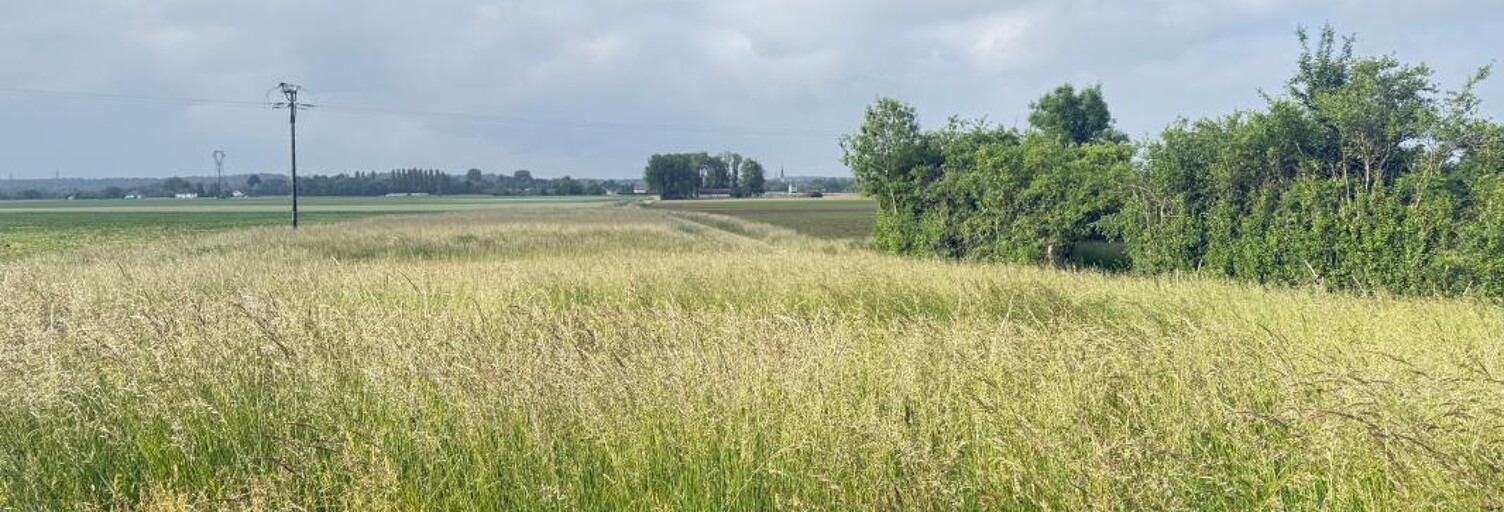 Terrain  1590 m² à vendre à Brabant-le-Roi (55800)