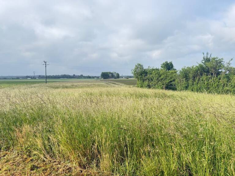 Terrain À Vendre — photo 1