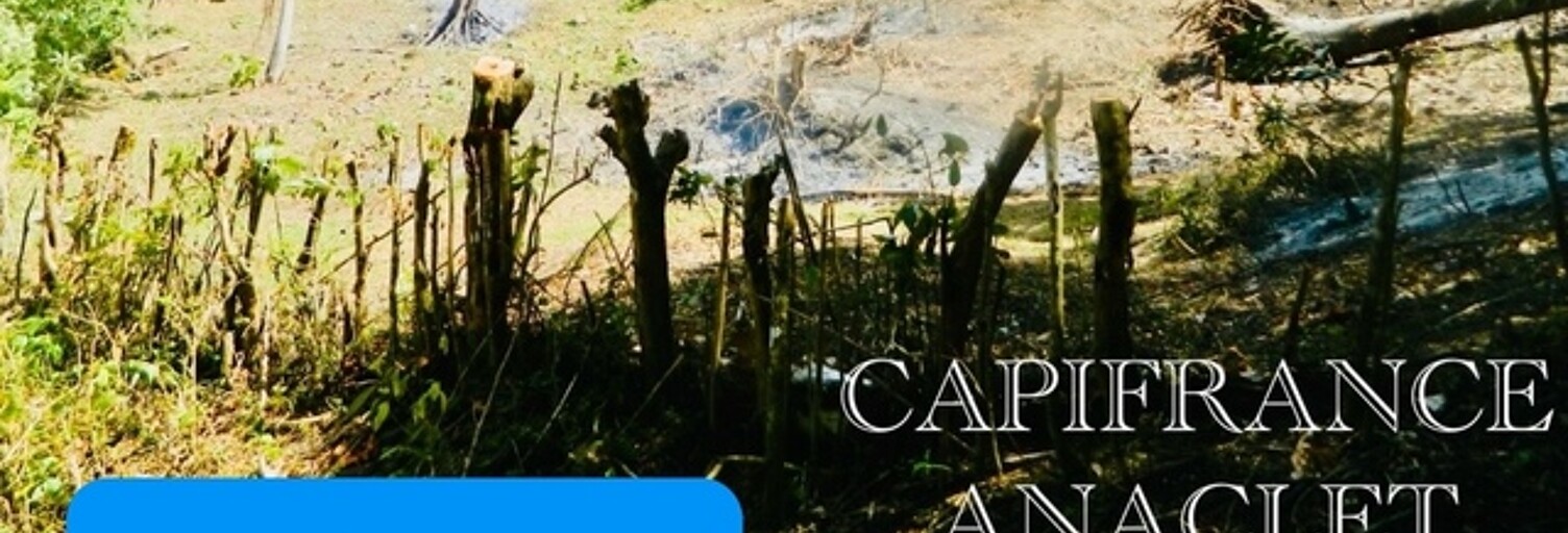 Terrain  2602 m² à vendre à Rivière-Pilote (97211)