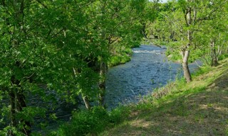Photo N° 3