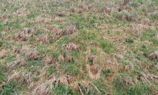 Terrain  704 m² à vendre à Normanville (76640)