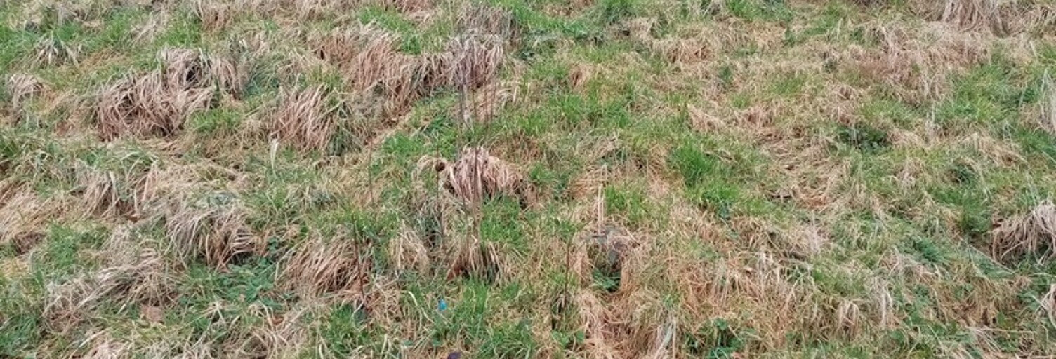 Terrain  704 m² à vendre à Normanville (76640)