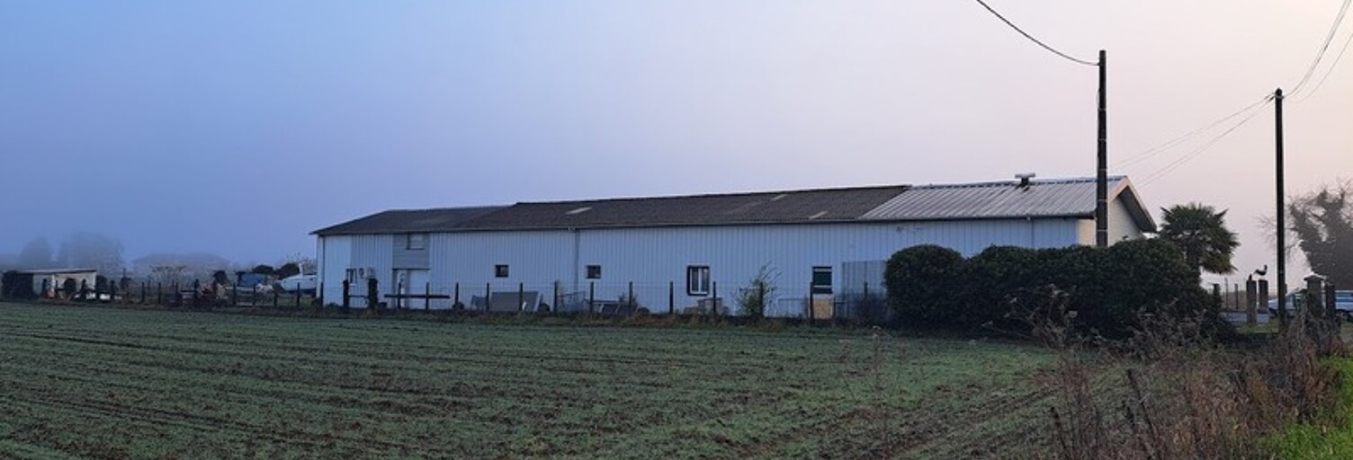 Photo N° 2