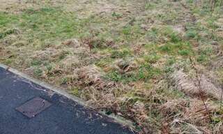 Terrain  478 m² à vendre à Terres-de-Caux (76640)