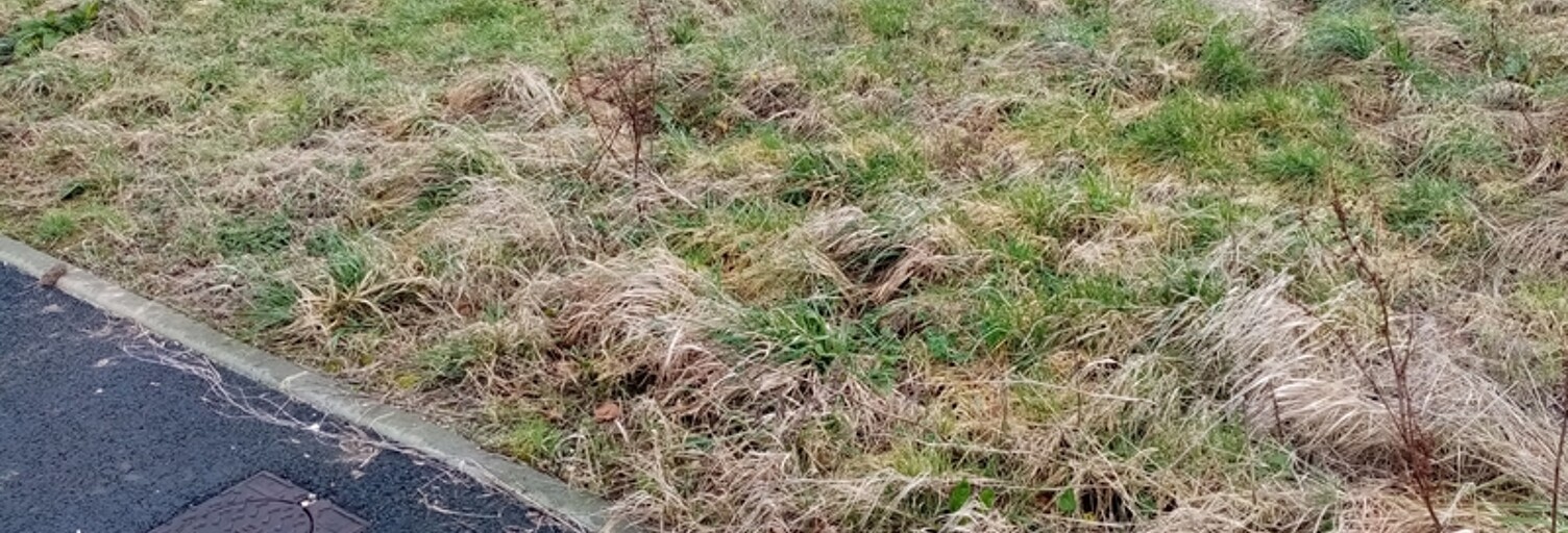 Terrain  478 m² à vendre à Terres-de-Caux (76640)