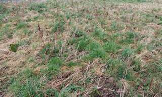 Terrain  637 m² à vendre à Ourville-en-Caux (76450)