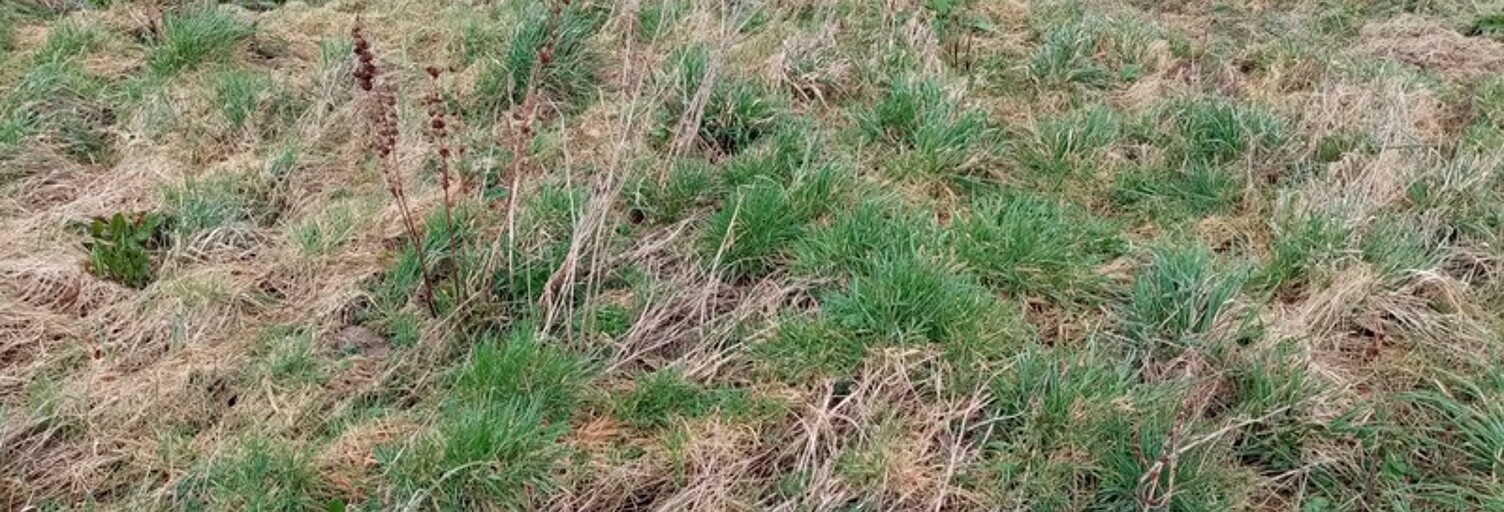 Terrain  637 m² à vendre à Ourville-en-Caux (76450)