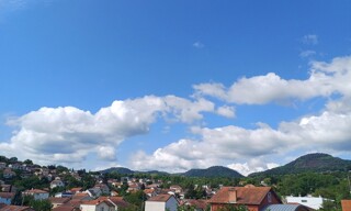 Photo N° 5