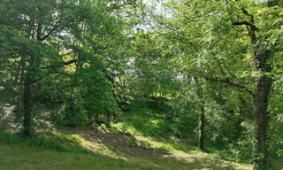 Photo N° 4