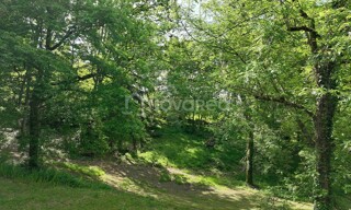 Photo N° 4