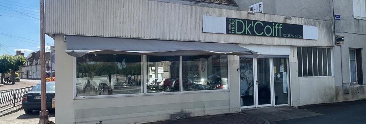 Immeuble  118 m² à vendre à Châtillon-Coligny (45230)