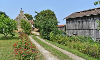 Photo N° 3