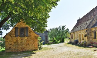 Photo N° 6