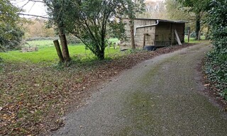 Photo N° 4