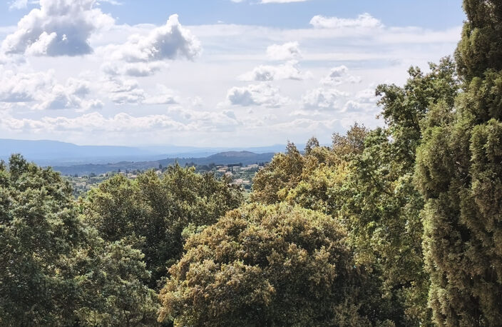 DPT (84) Avignon à vendre propriété 260m2 — photo 4
