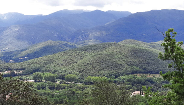 Terrain  à vendre Reynès 66400