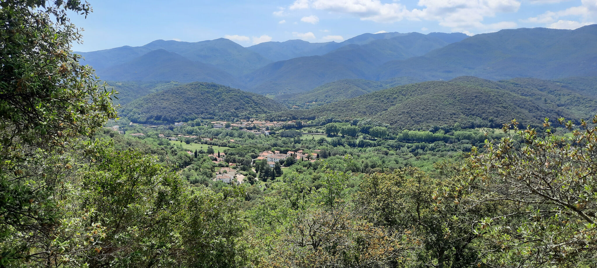 Terrain  à vendre Reynès 66400