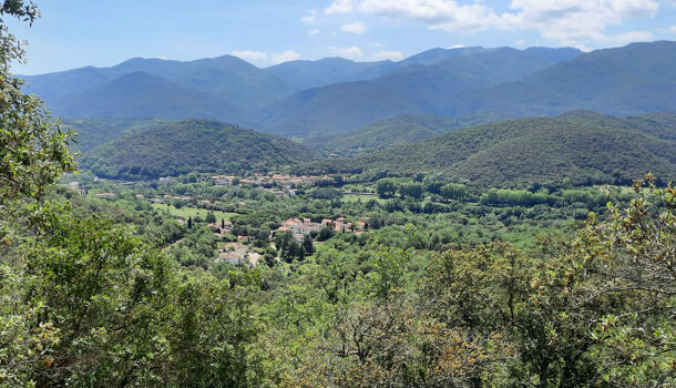 Terrain  à vendre Reynès 66400