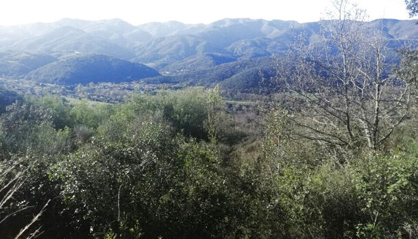 Terrain  à vendre Reynès 66400