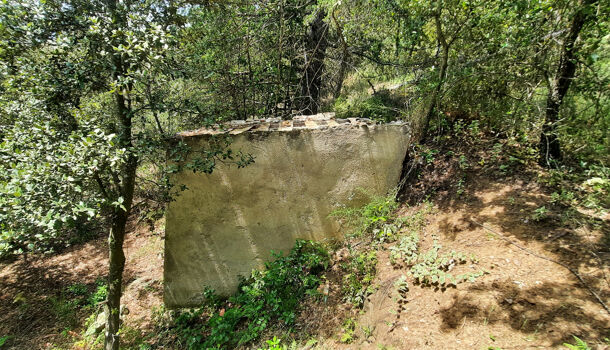 Terrain  à vendre Reynès 66400