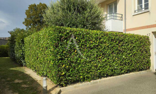 Photo N° 5