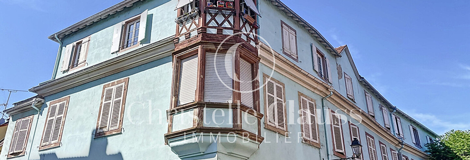 Immeuble  500 m² à vendre à Sélestat (67600)