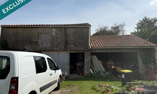 Photo N° 8