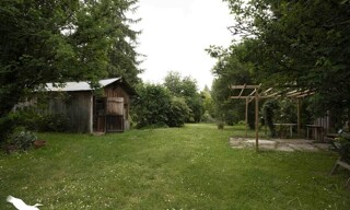 Photo N° 4