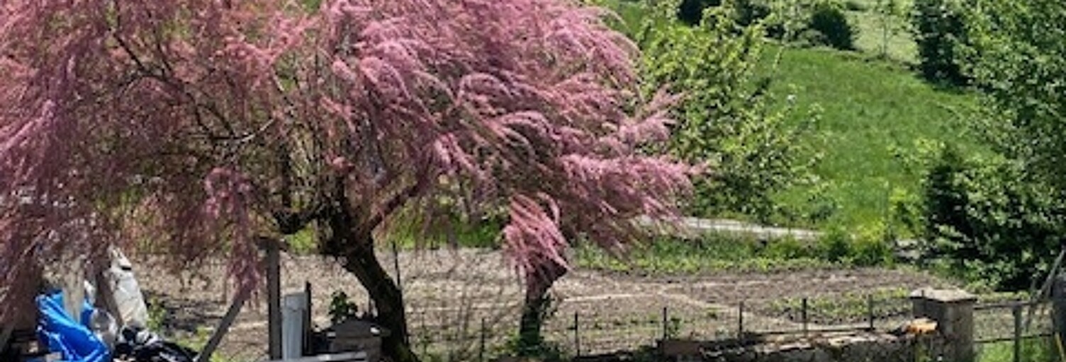 Maison 15 Pièces 245 m² à vendre à Yssingeaux (43200)