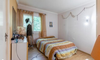 Photo N° 7