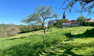 Photo N° 5