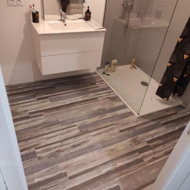 Appartement 3 pièces 730 €