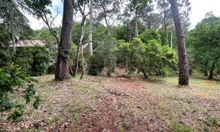 Terrain  1050 m² à vendre à Arcachon (33120)
