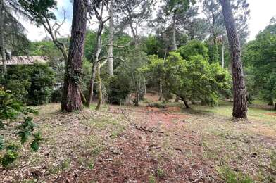 Terrain  1352000 €