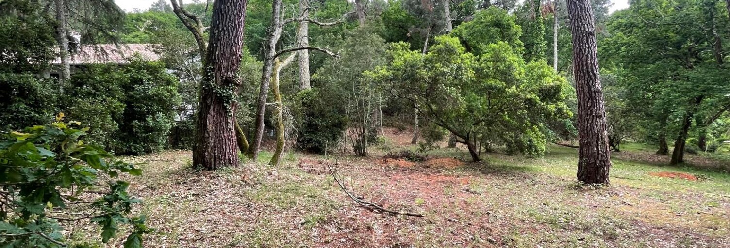Terrain  1050 m² à vendre à Arcachon (33120)
