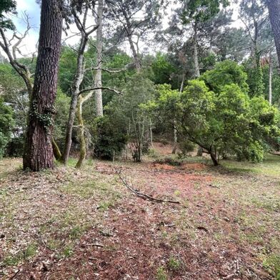 Terrain  1352000 €