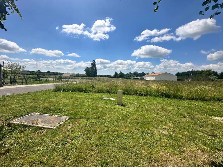 Terrain À Vendre — photo 1