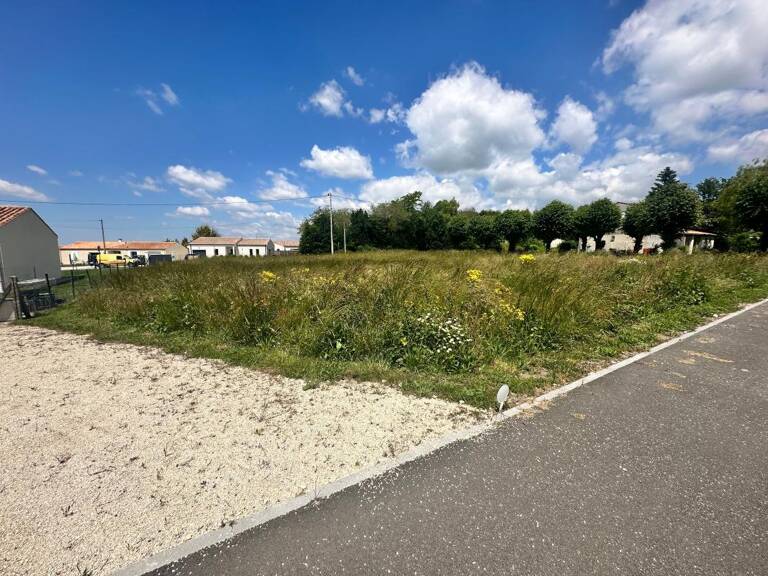 Terrain À Vendre — photo 1