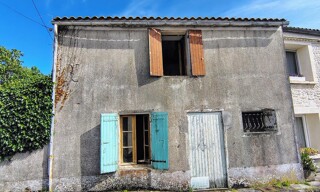 Photo N° 13