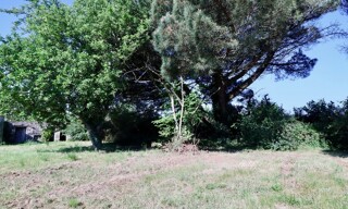 Photo N° 4